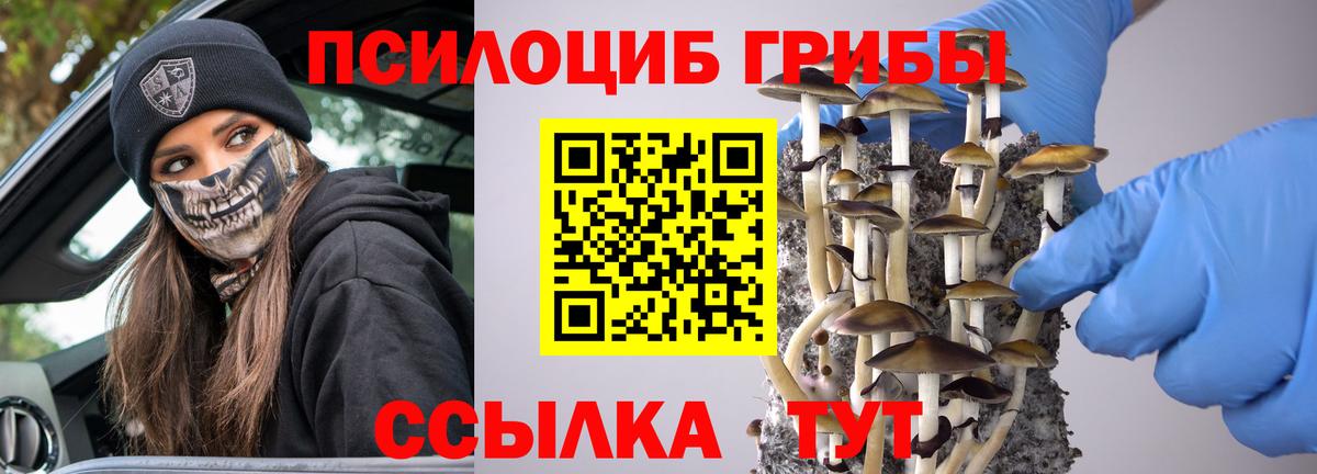 Галлюциногенные грибы Magic Shrooms Анжеро-Судженск