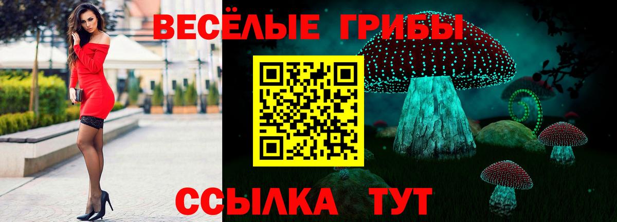 Анжеро-Судженск  Галлюциногенные грибы Psilocybe  Вход с VPN 